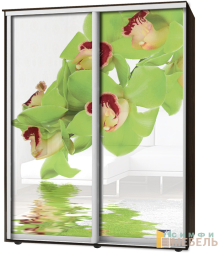 Шкаф-купе 2х дв Стандарт Фотопечать № 13