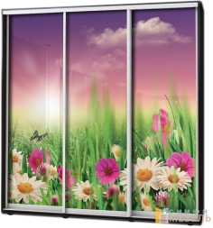 Шкаф купе 3х дв Фотопечать № 84