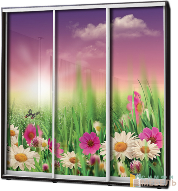 Шкаф купе 3х дв Фотопечать № 84