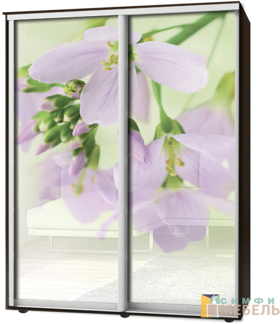 Шкаф-купе 2х дв Стандарт Фотопечать № 14